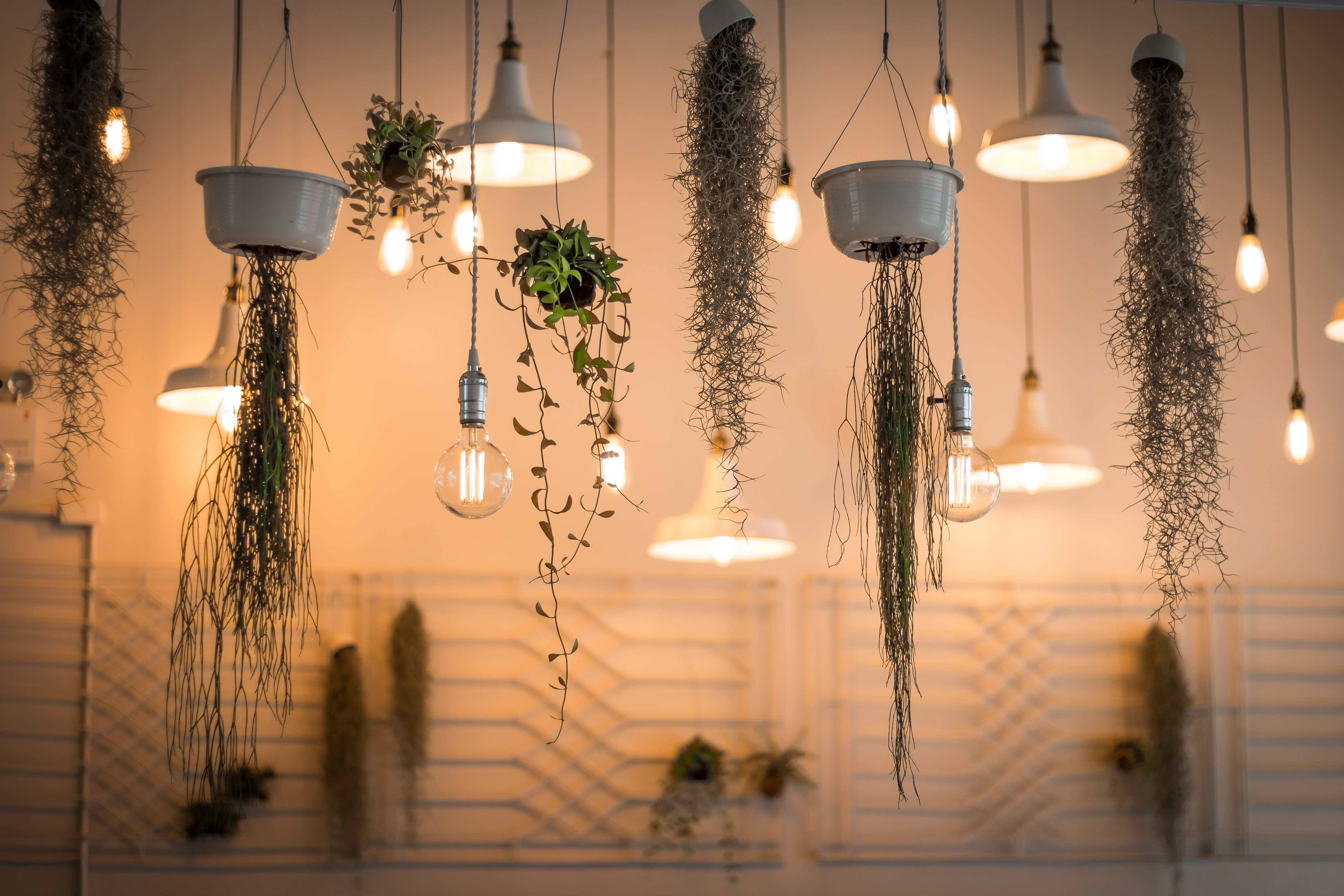 Jir Home, Smart Lighting Solution